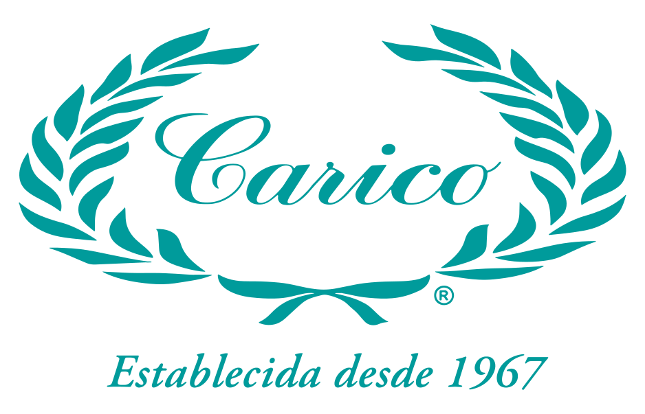 Carico Logo